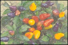 The Homegrown Taste of Heirloom Vegetables Image
